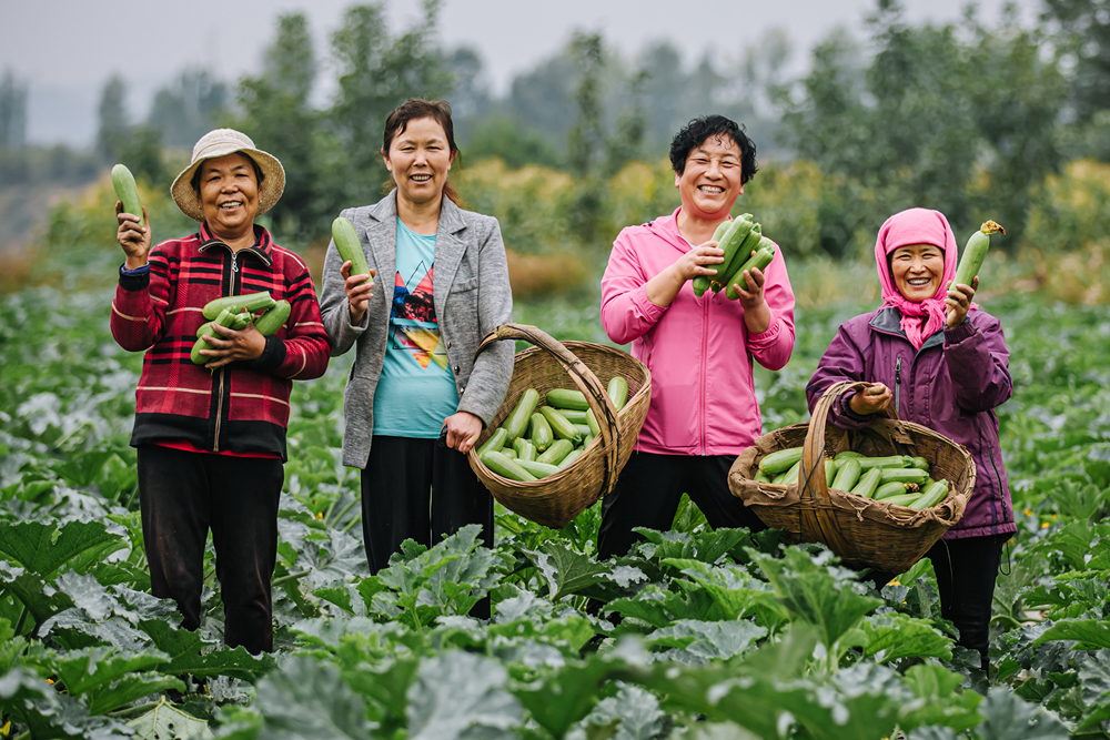 Four women stand looking at the camera and smiling, holding up vegetables they have grown.